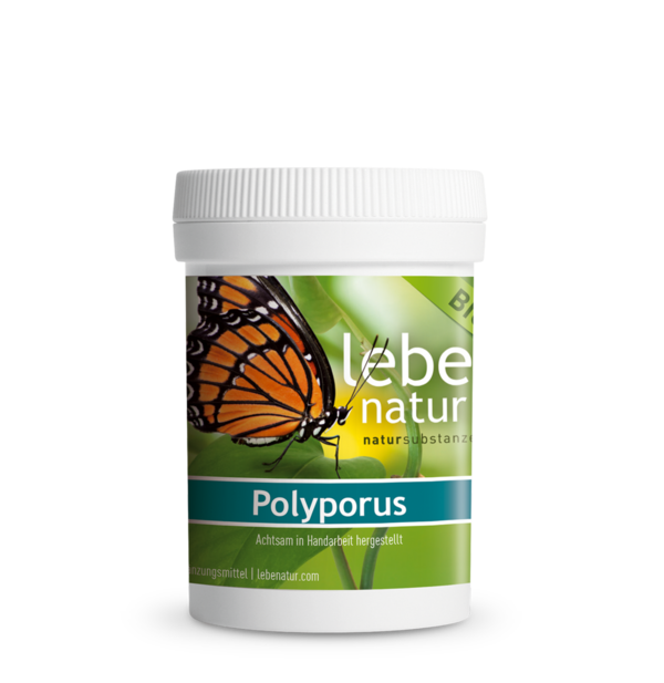 Polyporus Vitalpilz AT-Bio-301 90 KPS à 500 mg lebe natur®